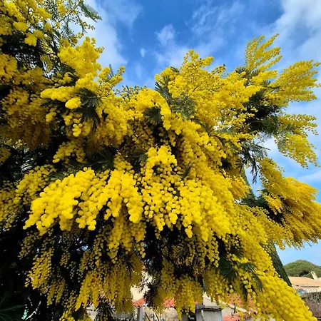 Apartment French Riviera Saint-Raphael (Var)